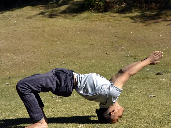 An Utkrisht Yoga coach in a bridge variation on a lawn in Himachal
