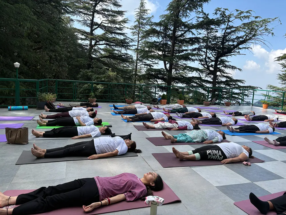 A class lying in savasana on their mats under the deodar, at the end of a session