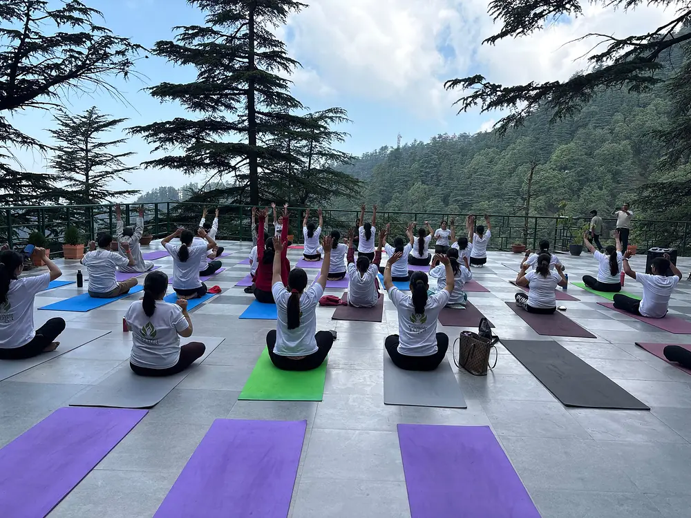 An outdoor class seated with arms raised on a terrace above the forested Shimla valley
