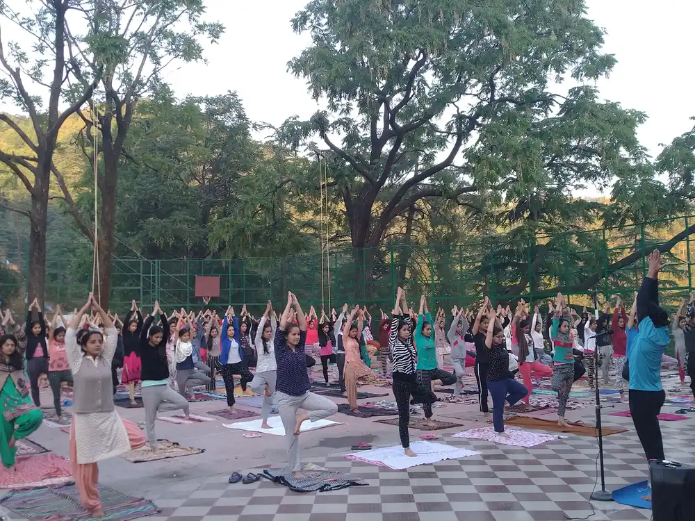An early-morning outdoor community yoga class standing in practice under the trees