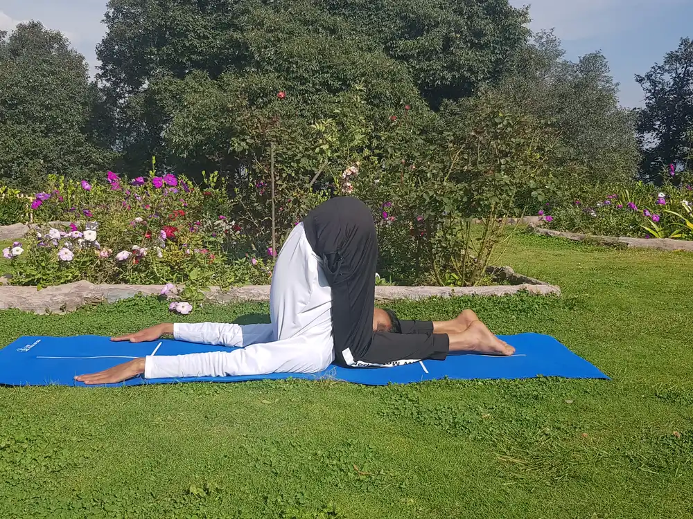 A quiet practice on a mat in a flowering Shimla garden, ringed by deodar