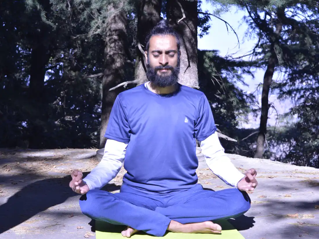 A seated meditation in dappled light beneath the deodar forest near Shimla