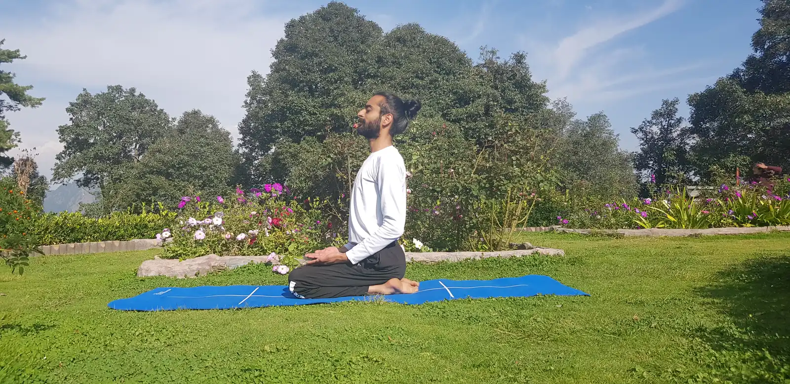 A yoga posture held on a mat in a Shimla garden, ringed by flowers and deodar